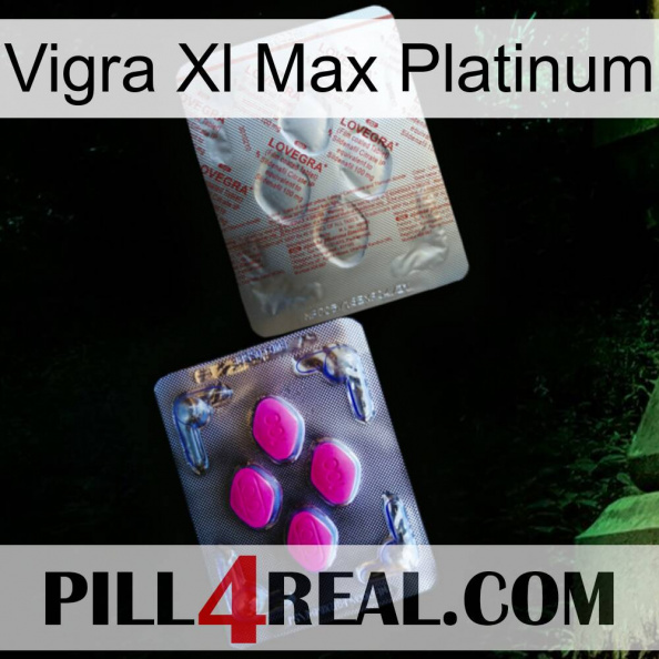 Vigra Xl Max Platinum 38.jpg